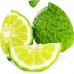 Bergamot E/O: Vital Herb